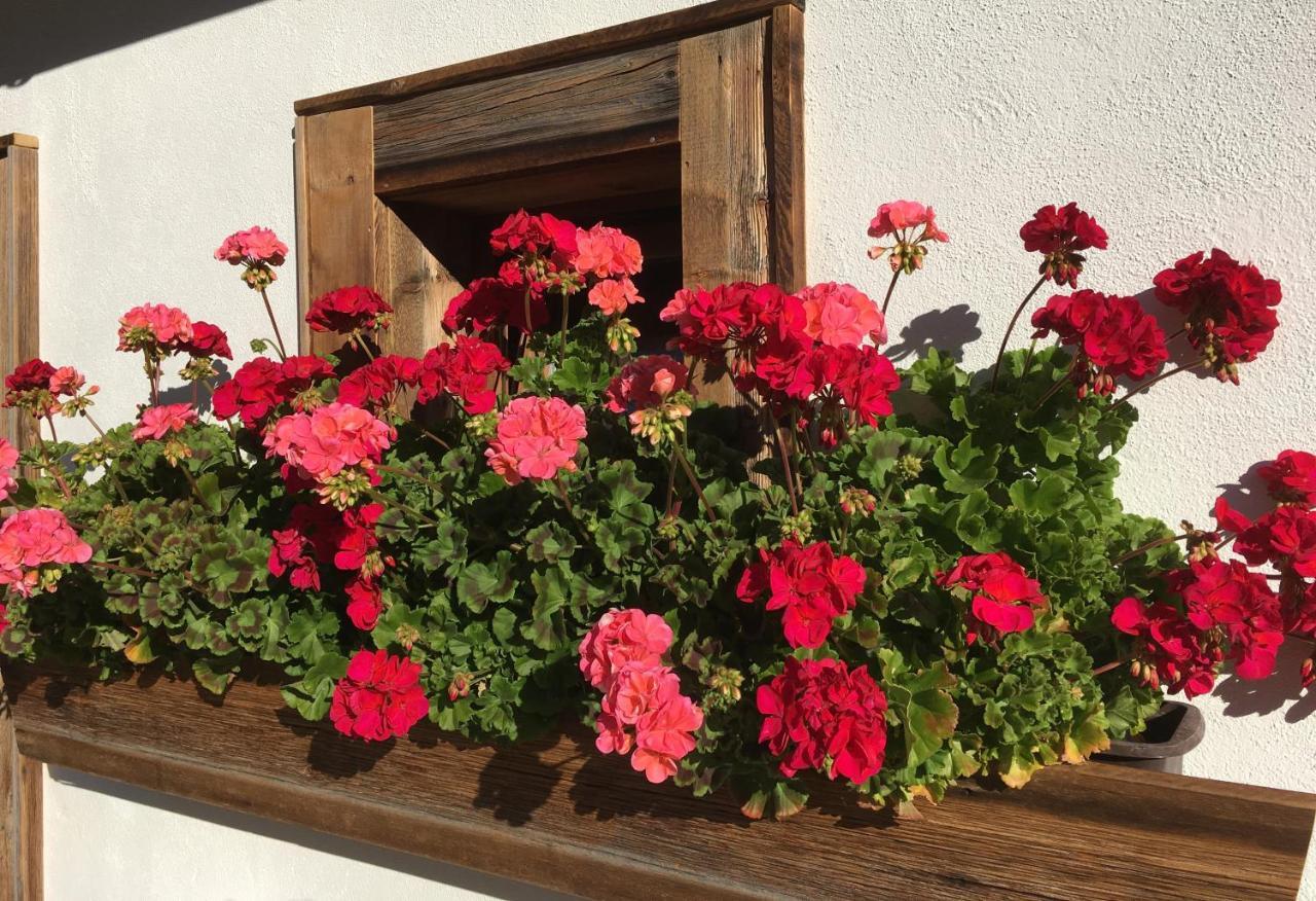 Appartamento Haus Buchhammer Sankt Anton am Arlberg Esterno foto